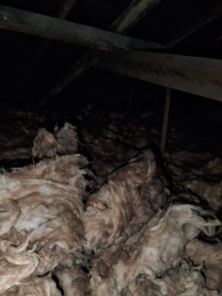 Mineral wool quilt insulation laid at joist level in a dark London loft, seen during an EPC assessment